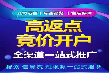 SEM托管公司案例研究：优化策略解析